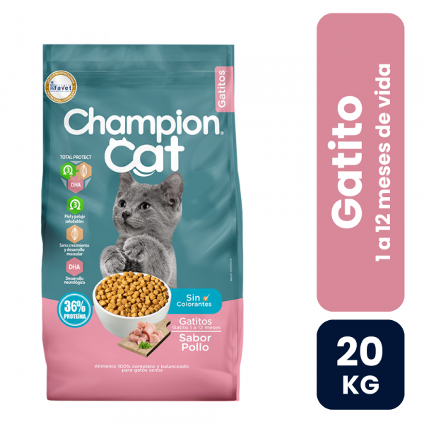 Champion Cat Gatito
