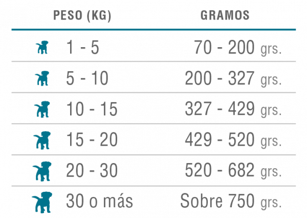Nomade Cachorro 10Kg