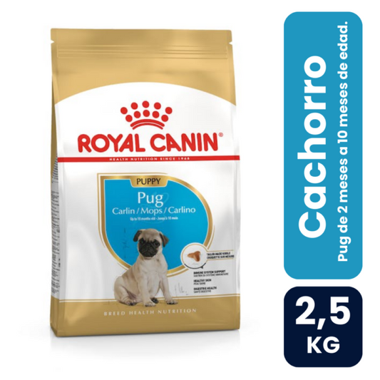 Royal Canin Pug Junior 2,5kg